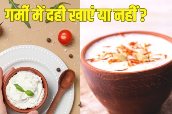 Curd Health Benefits: Blessings for health are curd but eat curd in summer or not?