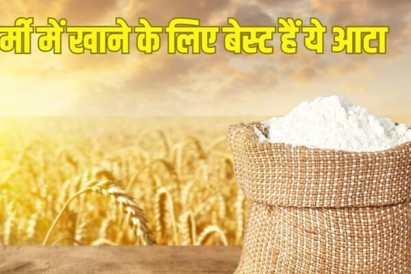 6 Power Packed Flour for Every Season: Eat this flour in scorching heat, body will remain cold, very beneficial too