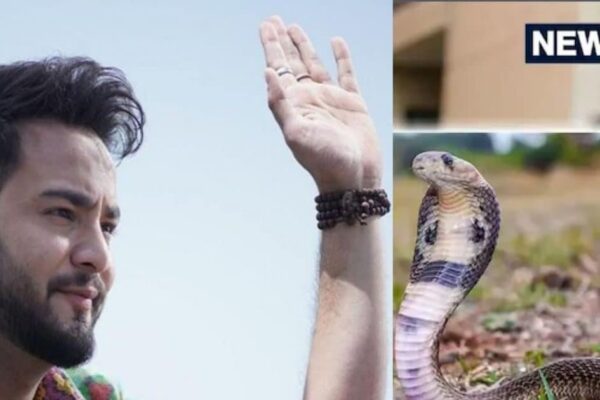 Elvish Yadav did not get relief in Rev Party case, High Court dismissed petition, YouTuber may be punished