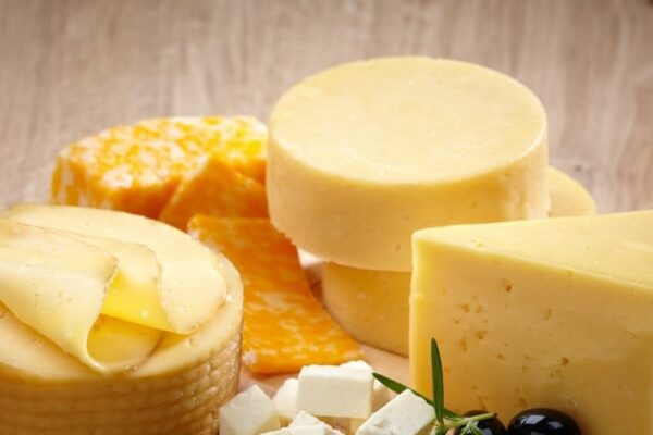 Benefits of Cheese: Benefits of eating cheese, helpful in weight loss and strengthening bones