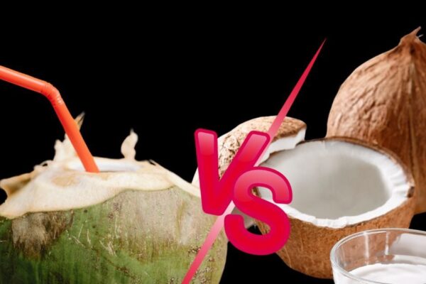 Coconut water vs coconut milk which is healthier for you | Coconut water and coconut milk, what is more beneficial for health