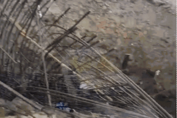 Information About Collapse of Under-Construction Bridge on Vande Bharat Express | Fast speed Vande collided with India under construction Bridge: Incident about 30 km from Bhopal; Train had to stop by applying emergency brake – Narmadapuram (Hoshangabad) News