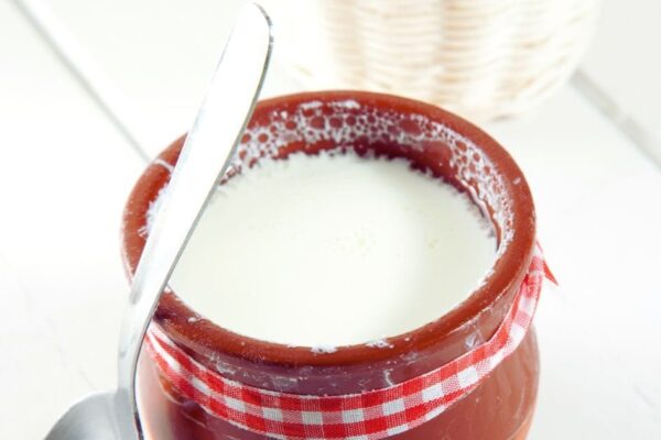 Ayurvedic Rulesand Risk for Eating Curd in Summer Daily | Advantages and disadvantages of eating yogurt: Advice of Ayurvedic expert.