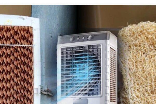 Who makes the cooler more cool- a honeycomb pad or simple grass; Take the expenses also know