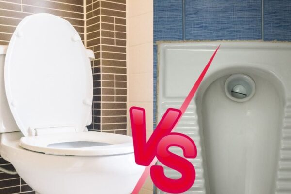 Indian vs western toilet for constipation which is better: Indian Toilet Better or Western Toilet for Constipation Patients, Learn from Doctor