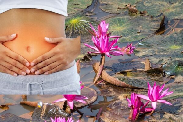 Benefits of Lotus for Gut: Medicinal Properties of Lotus: Importance and Health Benefits of Lotus in Ayurveda.