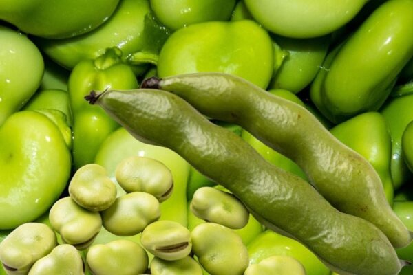 This vegetable is definitely less, but even if you eat a few days, nectar is the same benefit, expert in losing weight