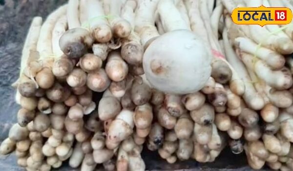 This wild vegetable is more expensive than mutton, first choice of gym lovers, know health benefits