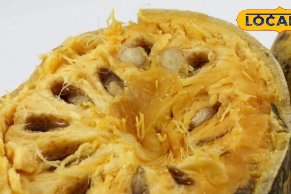 These fruits get three months in a year, strengthens the digestive system to immunity