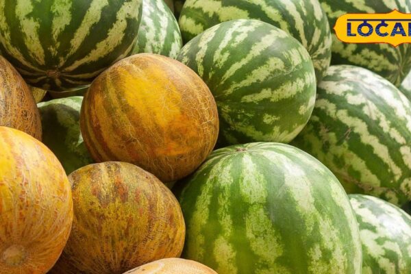 Health Tips: You can have to eat fruits without knowing time, take advantage of these 5 fruits in summer