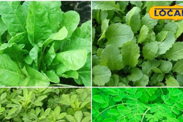 These vegetables are also strong with gym powder! Best diet to reduce belly fat