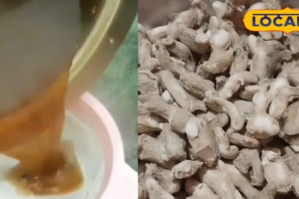 Waking in rain caused colds or fever? So adopt this effective indigenous recipe, relief will be found quickly