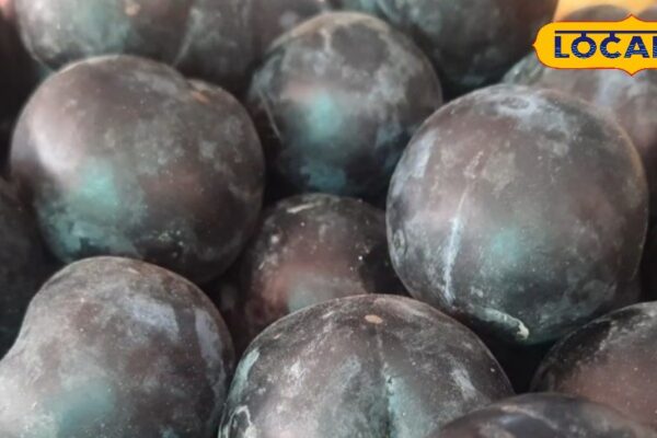 It is a short time, it is a boon for black fruit, immunity, heart and digestion, it also keeps bones strong