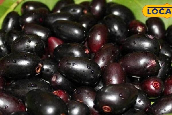 Not just fruit, it is medicine! From diabetes to digestion … berries are rainy superfood, eating these diseases are removed