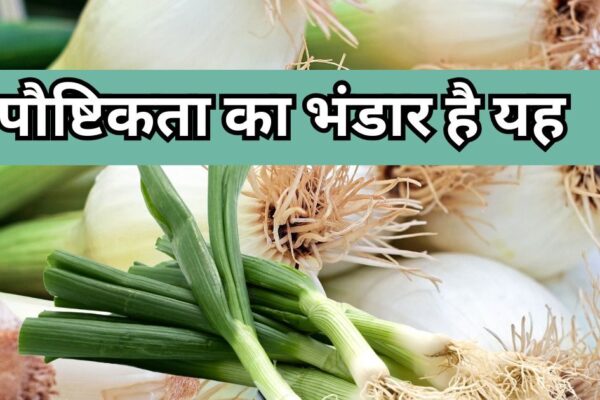 The ocean of healthy health is onion, onion, powerful food includes its name, digestive machine, boon for heart