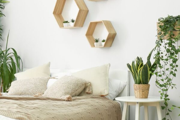 3 toxic bedroom items you must replace | Remove these 3 things immediately from your bedroom. Old pillows synthetic air freshener Worn out Mattress