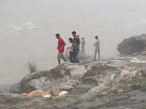 Himachal News: Tourists Negligence Crazy About Taking Selfies Photos Middle River Ignoring Advisory CM Sukhu Appeal | Despite the advisory in Himachal, the negligence of the tourist, VIDEO: Got a selfie in the middle river; CM appeals not to go around the river drains – Mandi (Himachal Pradesh) News
