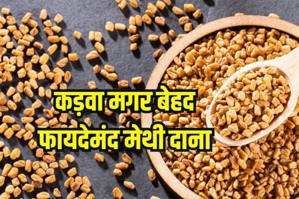 Fenugreek Benefits: Benefits of Fenugree