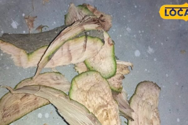No medicine, now treatment will be available from tree bark …… Miraculous effects in sugar, BP and arthritis, know benefits