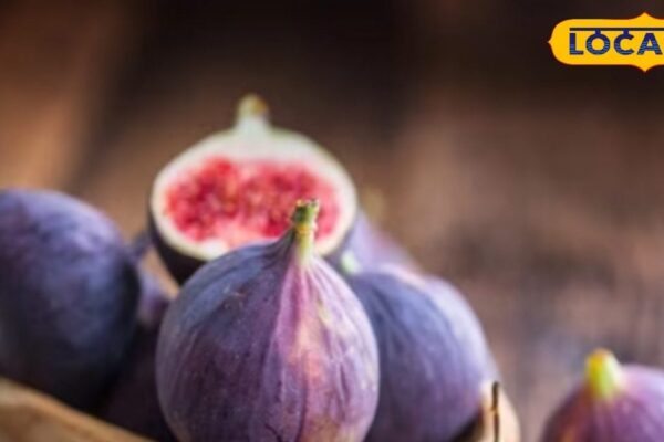 Health Benefits: Life is ‘Himalayan Figure’ for health, beneficial in lung disease and wound healing