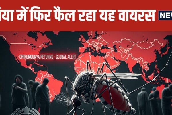 Chikungunya Virus OutBreak 2025 Who Global Warning | WHO’s global warning on Chikungunya epidemic
