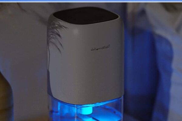 This small device will make the humidity disappear in the sticky summer