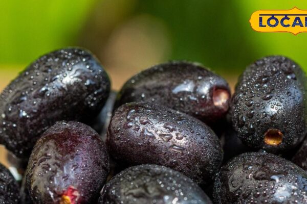 This fruit will give long life, will take care of immunity to diabetic patients, know tremendous features