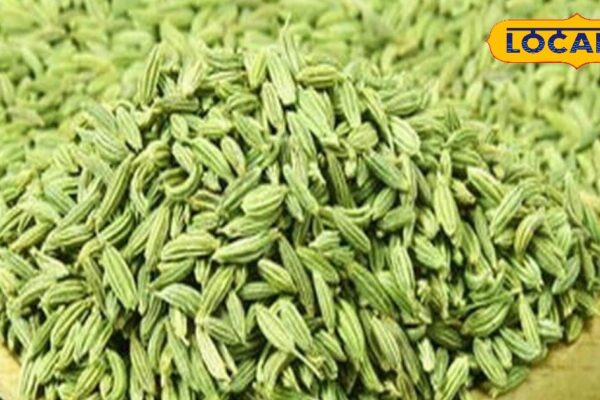 Gas, obesity, skin and sleep problems? Will get rid of just one teaspoon of fennel! Know the way to use