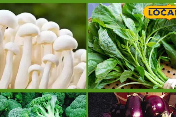 Avoid these vegetables in the rain: Ayurvedacharya Bhuvanesh Pandey’s advice