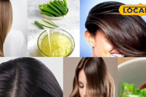 Tips and Tricks: Brakes on falling hair, adopt these desi tips in rain, get natural hair care