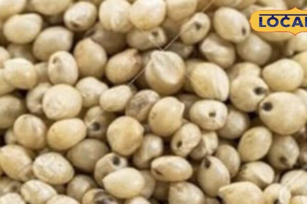 Eat this flour bread instead of wheat, health will get tremendous benefit, is beneficial for diabetes patient – uttar pradesh news