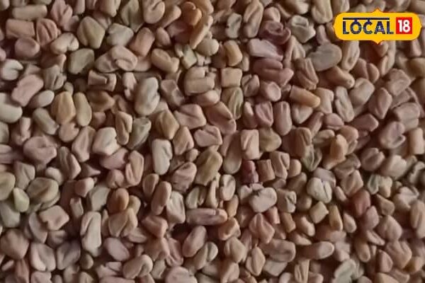 Drink this seed water daily, diabetes -cholesterol will be destroyed, digestive system will become strong – uttar pradesh news