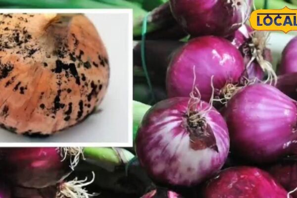 Black spot onion harmful to health: Dietician Rukhsana Azhar