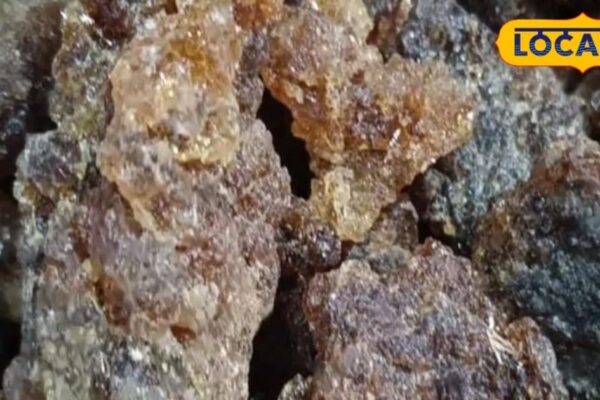 A desi recipe, treatment of many diseases …. This glue will give relief from fungal to diabetes, know tremendous benefits