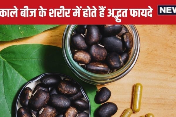 Kaunch Beej Benefits for Men: Men must eat these black seeds to increase sexual power, learn amazing benefits