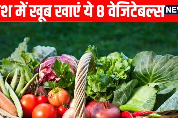 8 Vegetables to Eat in Monsoon: 8 vegetables will keep these 8 vegetables in monsoon: bitter gourd, lady finger, gourd, luffa, tomato