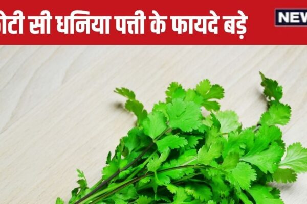 Coriander Leaves Benefits: Big benefits are hidden in these little green leaves, remove the mouth smell