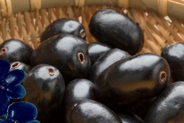 Jamun Seed Powder. Benefits of taking Jamun seed powder on an empty stomach in the morning.