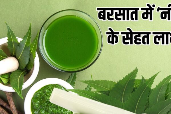 Neem in Rain Invaluable Gift for Health and Protection from Infection | A cheaper medicine for rainy diseases is ‘Neem’, effective in these 5 problems including infection, know its importance