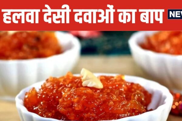 Raw Papaya Halwa Benefits and Recipe | Benefits and recipes of raw papaya halwa