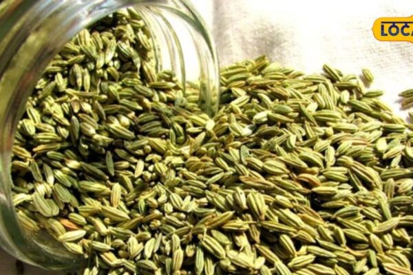 Saunf Benefits 5 Healthy Reasons to Chew Saunf | Benefits of fennel will be shocked