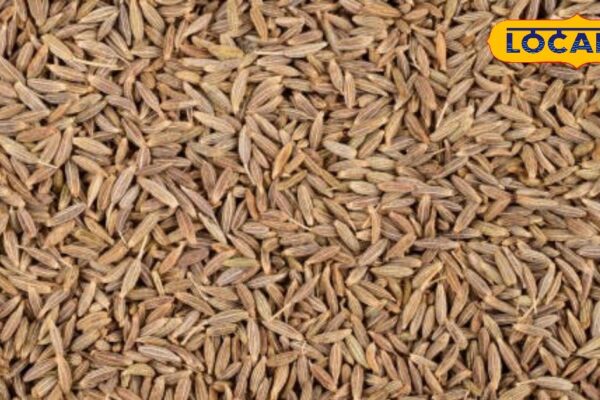 Health Tips: Hit to enhance taste and fit for health, is amazing, will be shocked to know medicinal properties – Rajasthan News