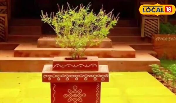 Chew on an empty stomach, 4 leaves of this religious plant … Tired, tension, flu! Immunity will also be boost – Uttar Pradesh News