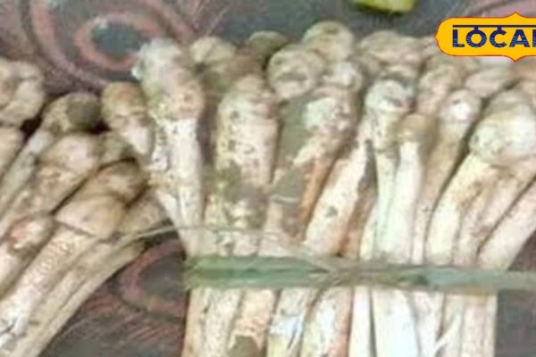 These vegetables, heart and sugar, priced more than chicken -mutton, know its nutritious properties – uttar pradesh news