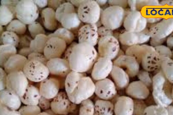 Heart attack – The period of dibitus is the power house of strength, this thing will also be seen in old age – uttar pradesh news