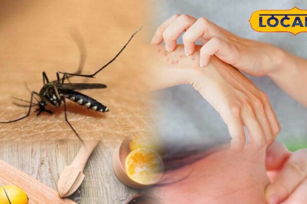 Lemon Juice Proves Effective in Monsoon to relieve itching and red rashes from mosquito bites, also helps preventing infection – Rajasthan News