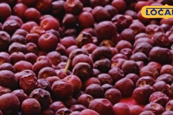 Abdominal diseases are eliminated, best for hair and skin, know the benefits of this fruit – Uttar Pradesh News
