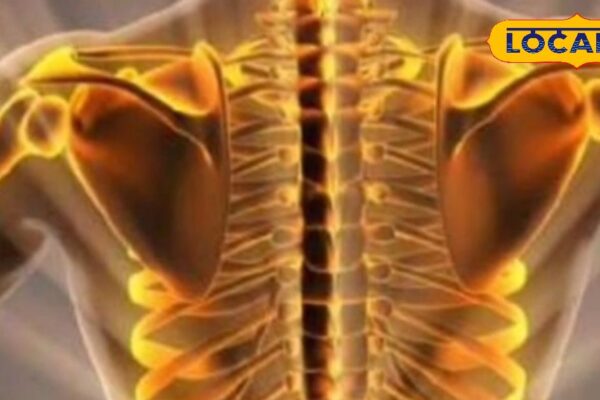 Make Bones Strong and Remove Anemia: Doctor’s Special Recipe – Himachal Pradesh News