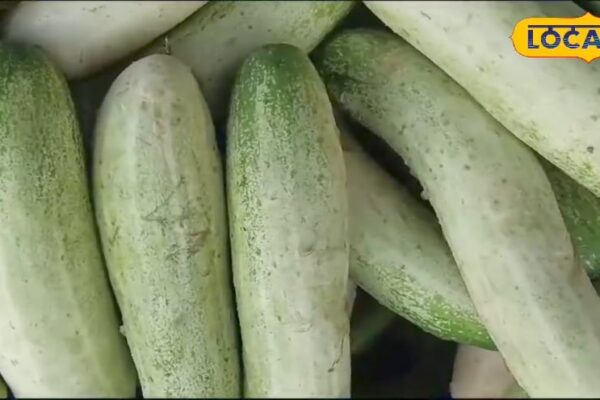This fruit gets 12 months of the year, boon for health, learn from experts to benefit from name