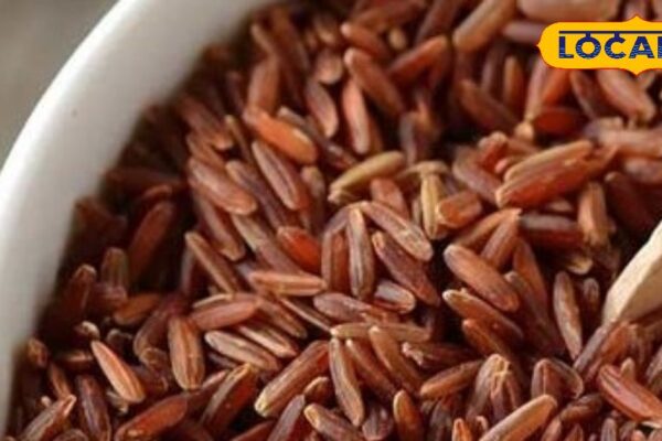 You will not have to do dieting for weight loss! Just do this small change in your plate, then see amazing – Uttarakhand News
